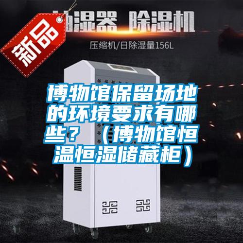 博物館保留場地的環境要求有哪些?(博物館恒溫恒濕儲藏柜)