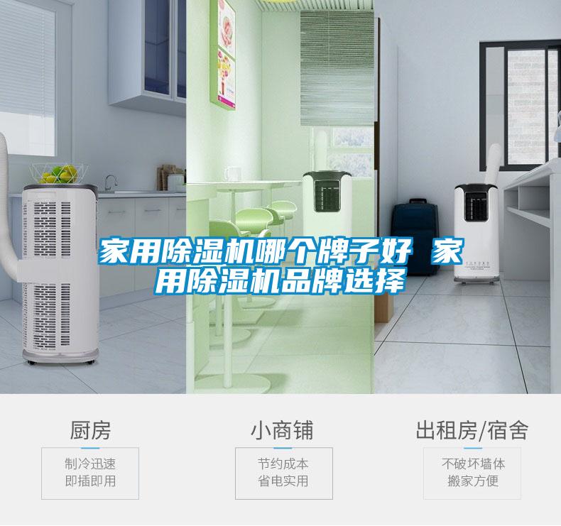 家用除濕機(jī)哪個(gè)牌子好 家用除濕機(jī)品牌選擇