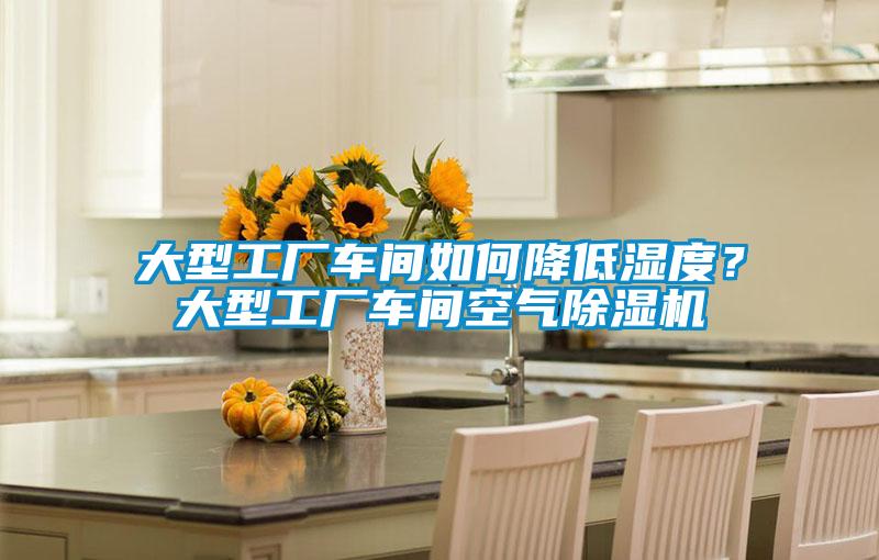 大型工廠車間如何降低濕度？大型工廠車間空氣除濕機