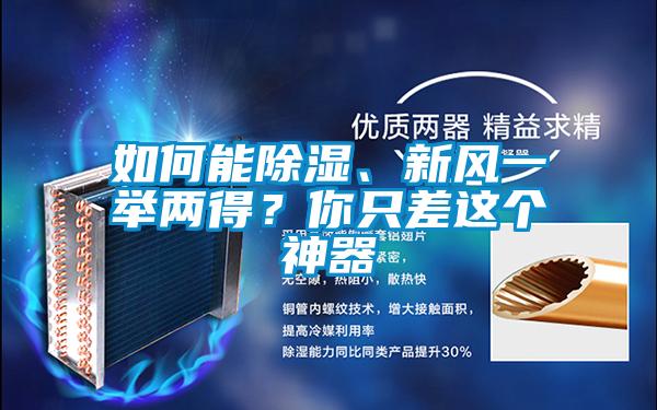 如何能除濕、新風一舉兩得？你只差這個神器