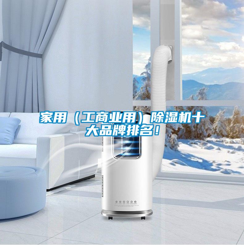 家用（工商業(yè)用）除濕機十大品牌排名！