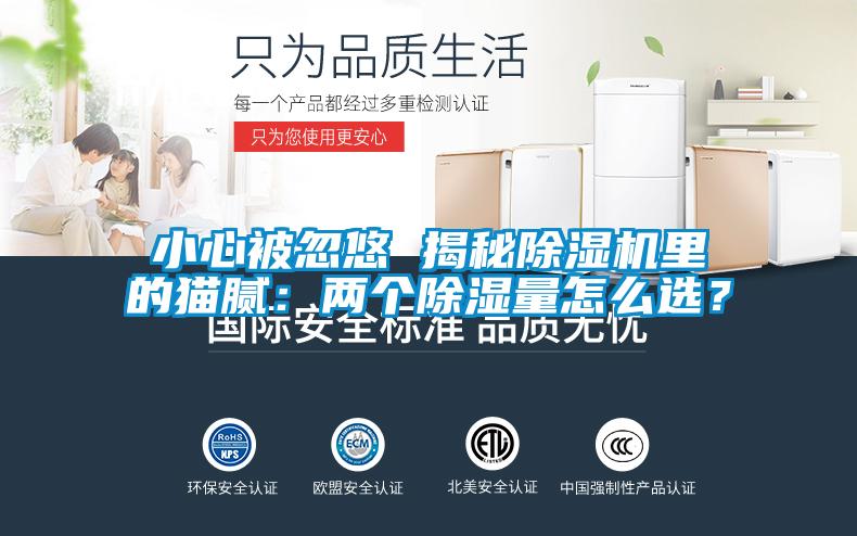 小心被忽悠 揭秘除濕機里的貓膩：兩個除濕量怎么選？