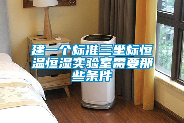 建一個標(biāo)準(zhǔn)三坐標(biāo)恒溫恒濕實驗室需要那些條件