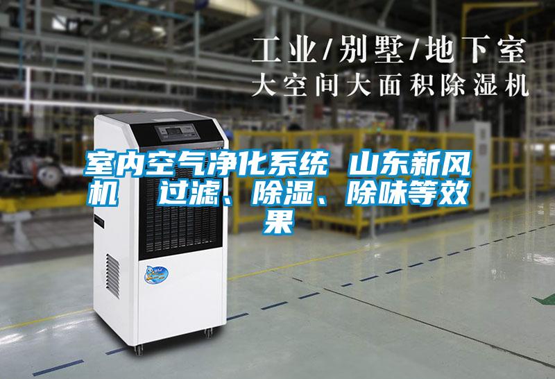 室內空氣凈化系統 山東新風機 過濾、除濕、除味等效果