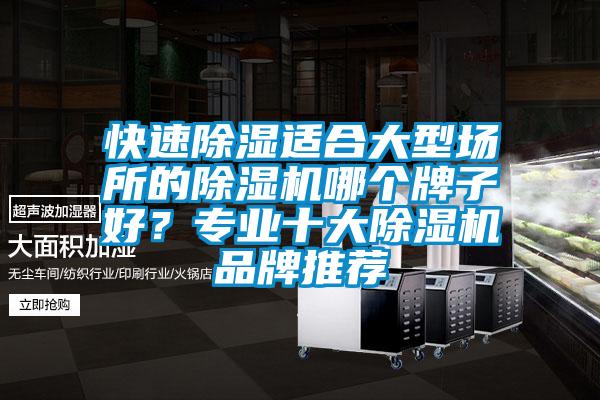 快速除濕適合大型場所的除濕機哪個牌子好?專業十大除濕機品牌推薦