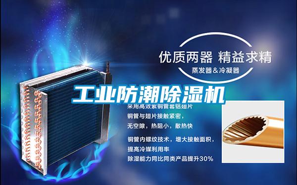 工業(yè)防潮除濕機