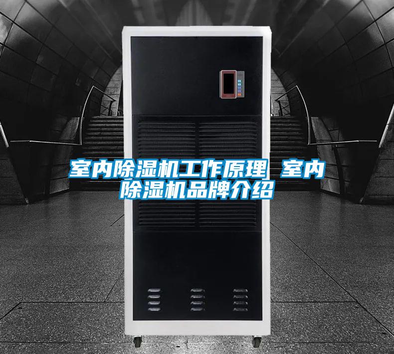 室內除濕機工作原理 室內除濕機品牌介紹