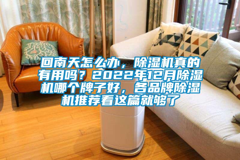 回南天怎么辦，除濕機真的有用嗎？2022年12月除濕機哪個牌子好，各品牌除濕機推薦看這篇就夠了