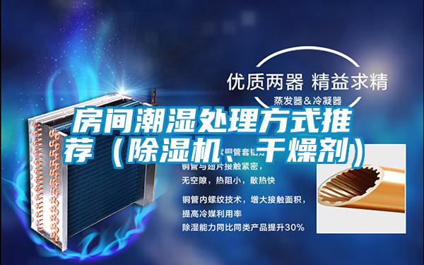 房間潮濕處理方式推薦（除濕機、干燥劑）