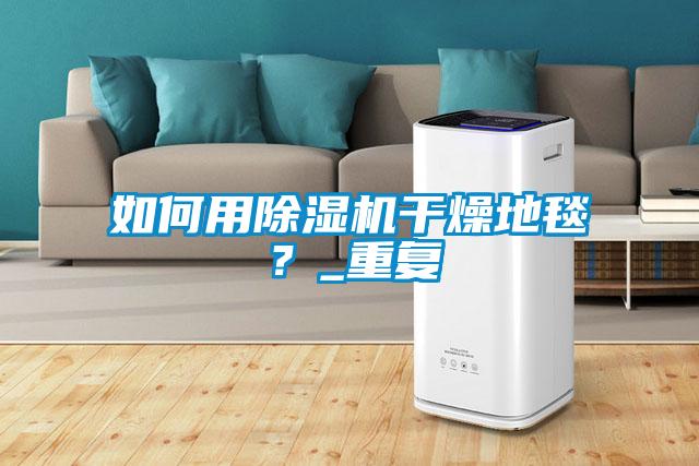 如何用除濕機干燥地毯?_重復