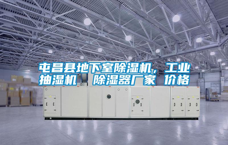 屯昌縣地下室除濕機,工業抽濕機 除濕器廠家 價格