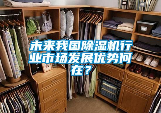 未來(lái)我國(guó)除濕機(jī)行業(yè)市場(chǎng)發(fā)展優(yōu)勢(shì)何在？