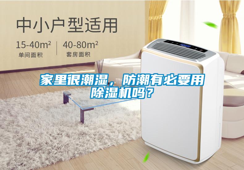 家里很潮濕，防潮有必要用除濕機(jī)嗎？