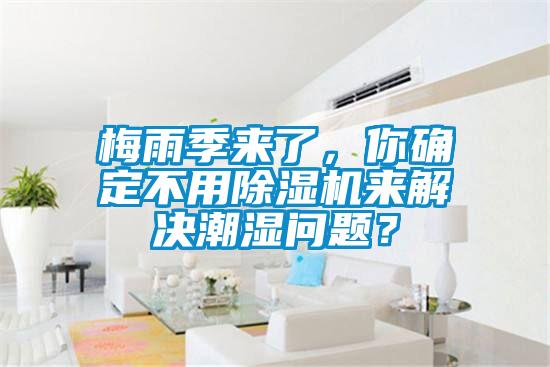 梅雨季來了，你確定不用除濕機來解決潮濕問題？