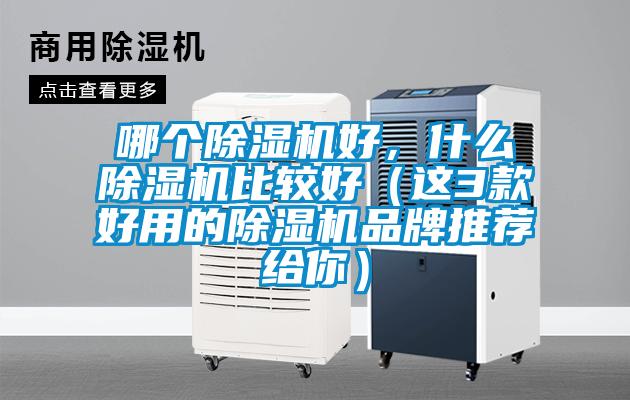 哪個(gè)除濕機(jī)好，什么除濕機(jī)比較好（這3款好用的除濕機(jī)品牌推薦給你）