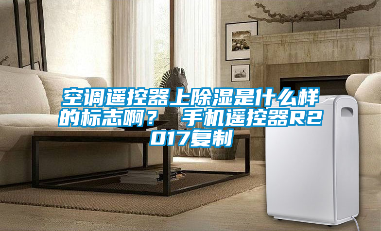 空調遙控器上除濕是什么樣的標志啊? 手機遙控器R2017復制
