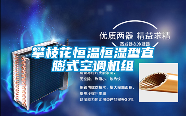攀枝花恒溫恒濕型直膨式空調(diào)機組