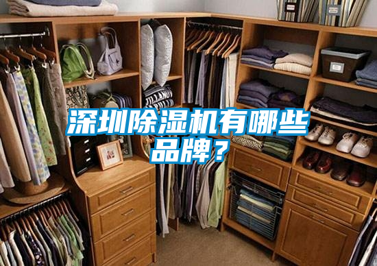 深圳除濕機有哪些品牌？