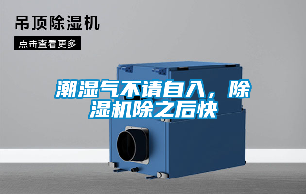 潮濕氣不請(qǐng)自入,除濕機(jī)除之后快