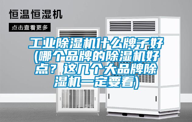 工業(yè)除濕機(jī)什么牌子好(哪個(gè)品牌的除濕機(jī)好點(diǎn)？這幾個(gè)大品牌除濕機(jī)一定要看)