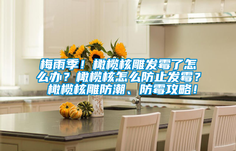 梅雨季!橄欖核雕發(fā)霉了怎么辦?橄欖核怎么防止發(fā)霉? 橄欖核雕防潮、防霉攻略!