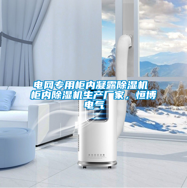 電網(wǎng)專(zhuān)用柜內(nèi)凝露除濕機(jī) 柜內(nèi)除濕機(jī)生產(chǎn)廠(chǎng)家，恒博電氣