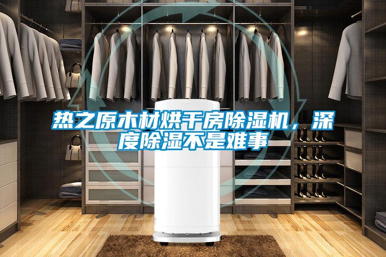 熱之原木材烘干房除濕機,深度除濕不是難事