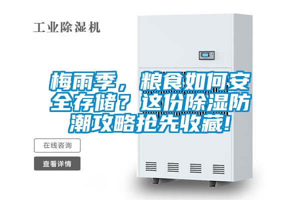 梅雨季,糧食如何安全存儲(chǔ)?這份除濕防潮攻略搶先收藏!