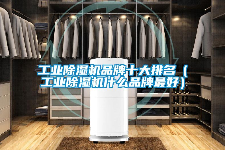 工業(yè)除濕機(jī)品牌十大排名(工業(yè)除濕機(jī)什么品牌最好)