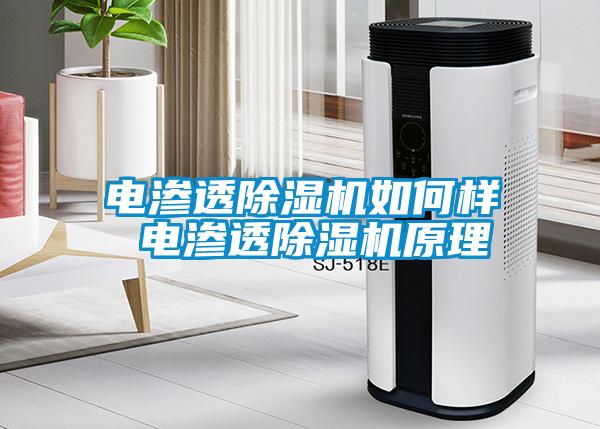 電滲透除濕機如何樣 電滲透除濕機原理