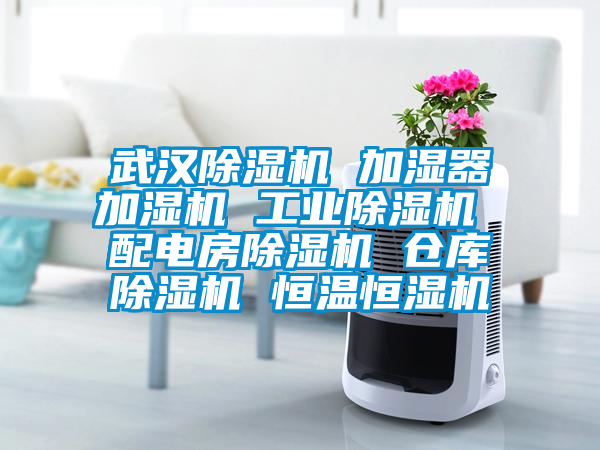 武漢除濕機(jī) 加濕器加濕機(jī) 工業(yè)除濕機(jī) 配電房除濕機(jī) 倉(cāng)庫除濕機(jī) 恒溫恒濕機(jī)