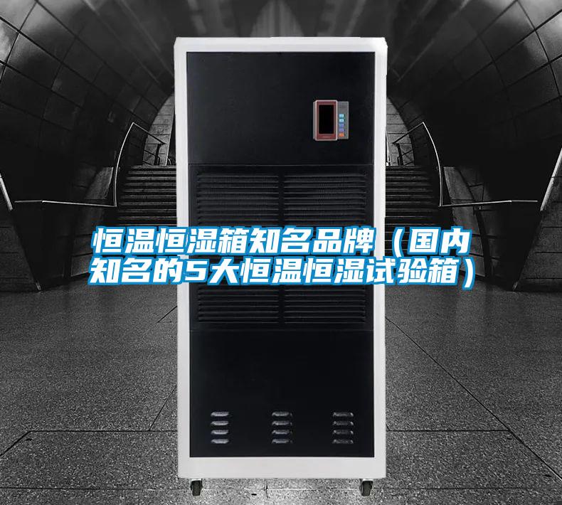 恒溫恒濕箱知名品牌（國內(nèi)知名的5大恒溫恒濕試驗箱）