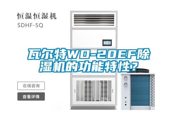 瓦爾特WD-20EF除濕機的功能特性？