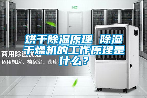 烘干除濕原理 除濕干燥機的工作原理是什么?