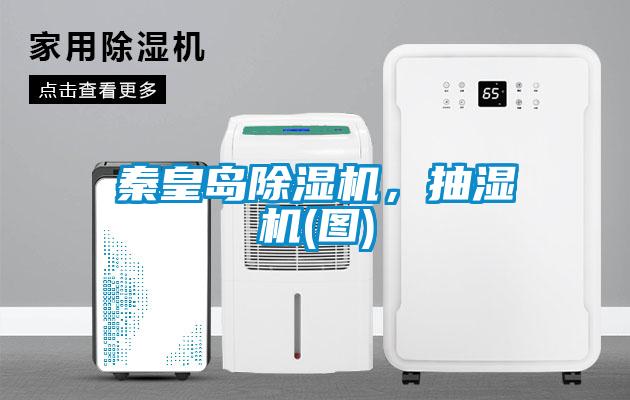 秦皇島除濕機(jī)，抽濕機(jī)(圖)