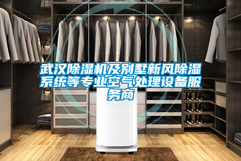 武漢除濕機及別墅新風除濕系統(tǒng)等專業(yè)空氣處理設備服務商