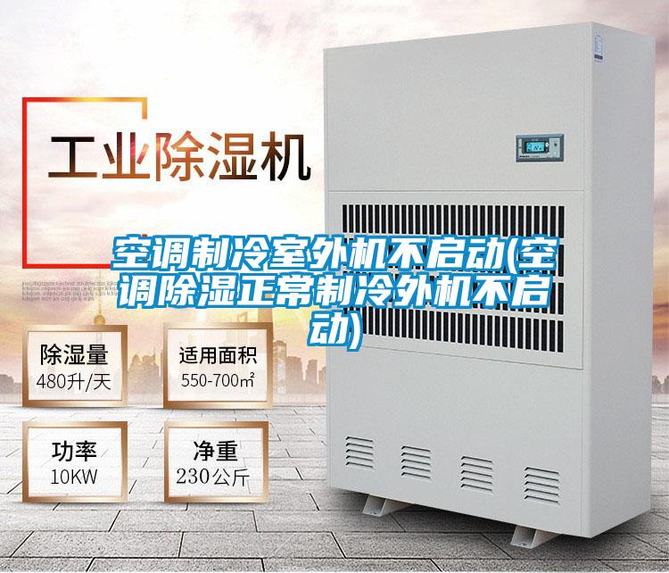 空調制冷室外機不啟動(空調除濕正常制冷外機不啟動)
