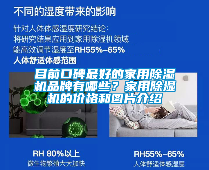 目前口碑最好的家用除濕機品牌有哪些？家用除濕機的價格和圖片介紹