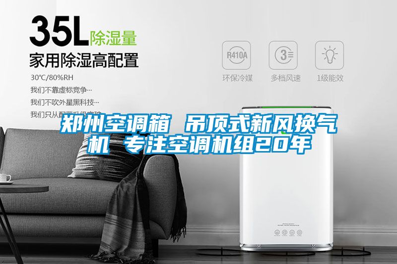 鄭州空調(diào)箱 吊頂式新風(fēng)換氣機 專注空調(diào)機組20年