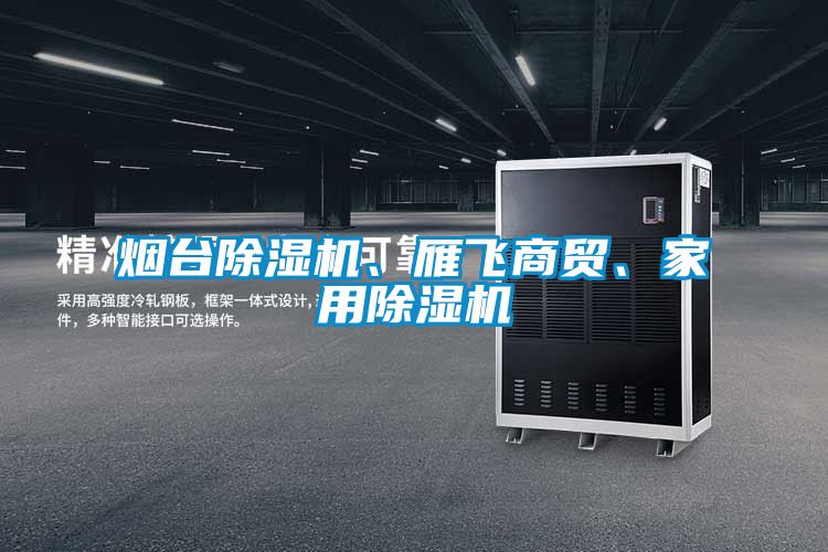 煙臺(tái)除濕機(jī)、雁飛商貿(mào)、家用除濕機(jī)