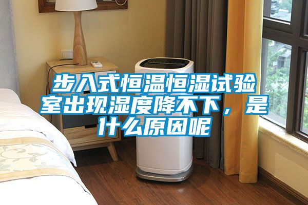 步入式恒溫恒濕試驗室出現(xiàn)濕度降不下，是什么原因呢
