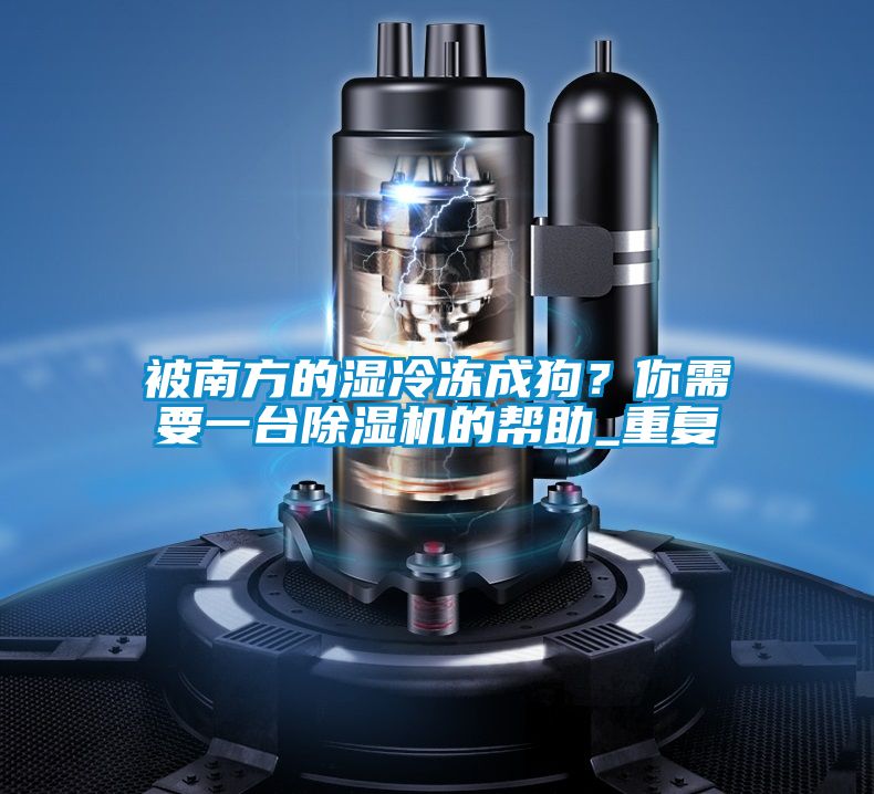 被南方的濕冷凍成狗？你需要一臺除濕機的幫助_重復(fù)