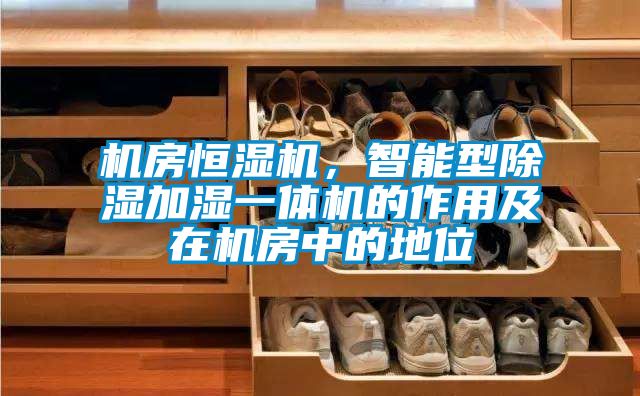 機房恒濕機，智能型除濕加濕一體機的作用及在機房中的地位