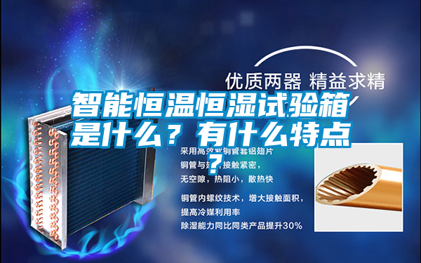 智能恒溫恒濕試驗(yàn)箱是什么？有什么特點(diǎn)？