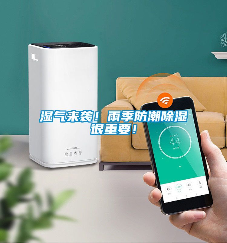 濕氣來襲！雨季防潮除濕很重要！