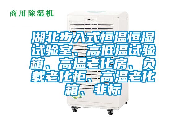 湖北步入式恒溫恒濕試驗室、高低溫試驗箱、高溫老化房、負載老化柜、高溫老化箱、非標