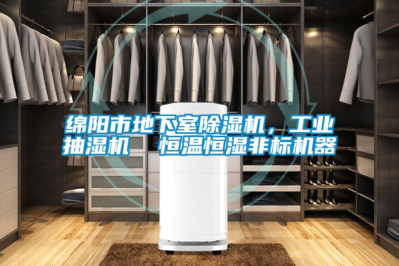 綿陽市地下室除濕機,工業抽濕機  恒溫恒濕非標機器