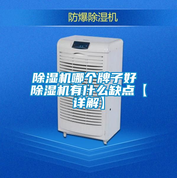除濕機(jī)哪個牌子好 除濕機(jī)有什么缺點(diǎn)【詳解】