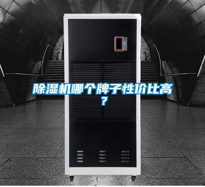 除濕機哪個牌子性價比高？