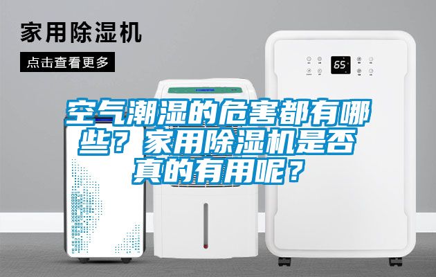 空氣潮濕的危害都有哪些？家用除濕機是否真的有用呢？